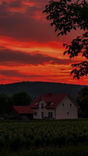 ������ ����!. ������� �������� ������������ ���� � ���� ���� �������� ���� ������ ��������� (1882 � 1969), ���� ��������� ������ (1938), ������� �������� ������� (1948), �������� ����� ���� (1971) � ���������� ������...