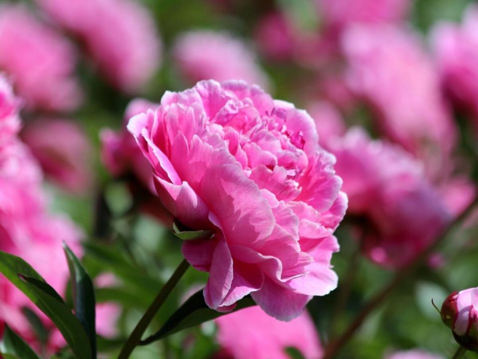 ��� ��������� ���������� � ������ � ����: ������� �������� ���������