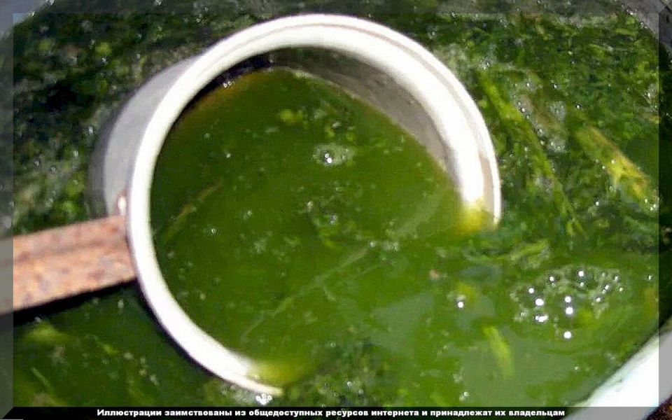 ��� ����������� ����������� ������� ���������: ��� ������� �������