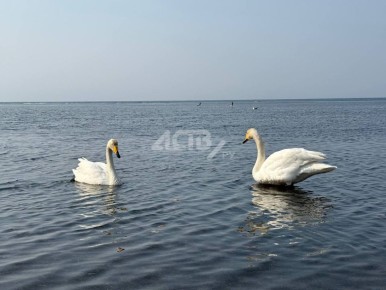На юге Сахалина 1 апреля потеплеет до +10 градусов, и это не шутка