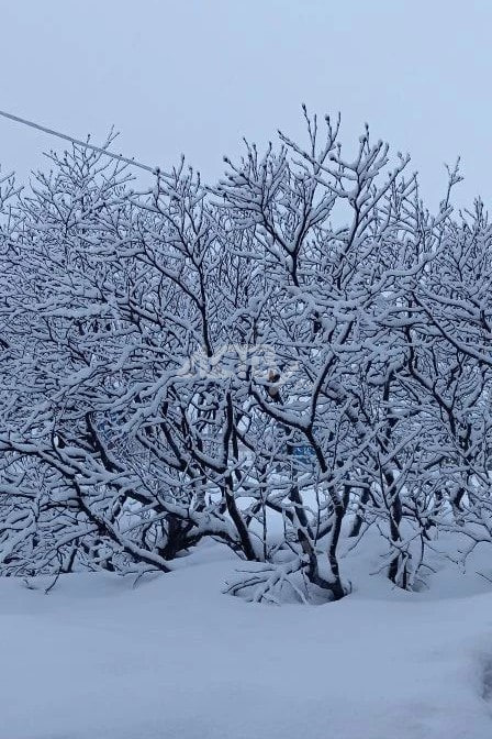 На юге Сахалина 1 апреля потеплеет до +10 градусов, и это не шутка На юге Сахалина 1 апреля потеплеет до +10 градусов, и это не шутка