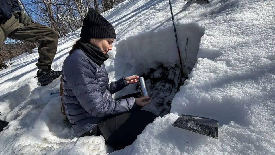 �� ��� �������� ����������� ����� �������� ���������