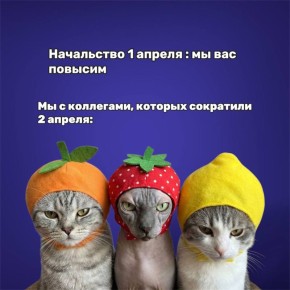 Признавайтесь, подшутили сегодня над кем-нибудь?