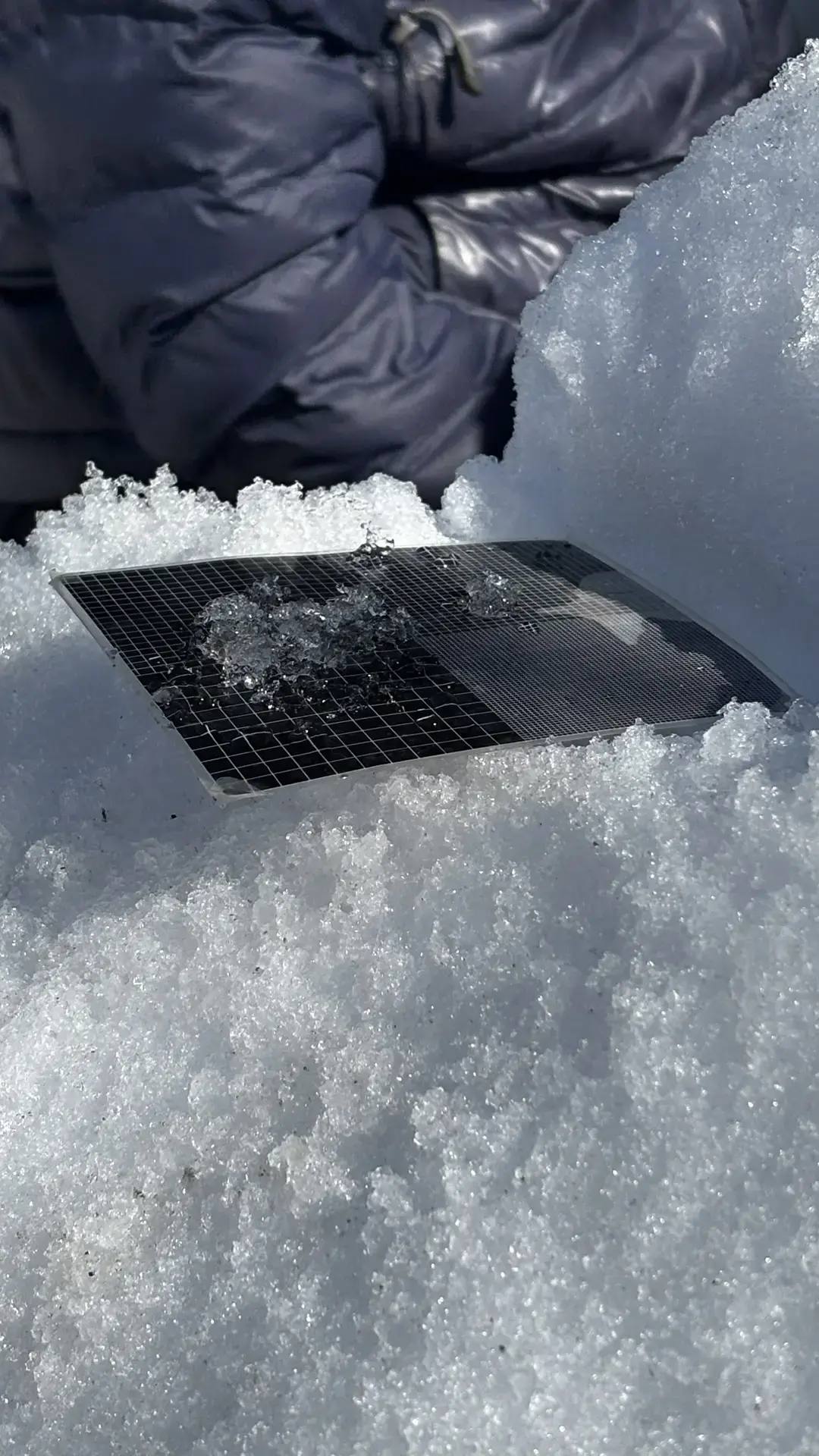 На юге Сахалина завершается сезон лавинной опасности На юге Сахалина завершается сезон лавинной опасности