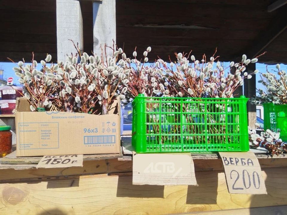 � ������ ������ �� �������� ��������� ����-���������� �������� ����� � ���� �� ������� �������� ����� � �������������� �����