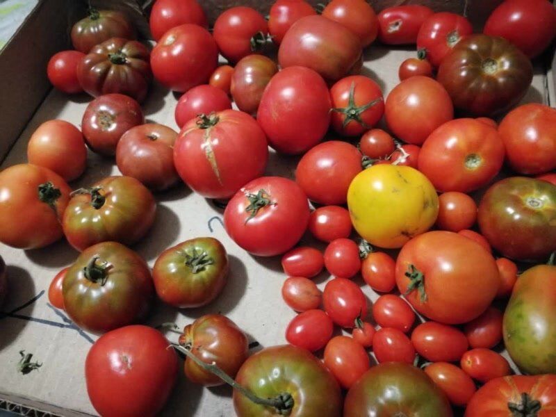 ����� ��������� ���������: ��� ��������� ������ ���� �� ����