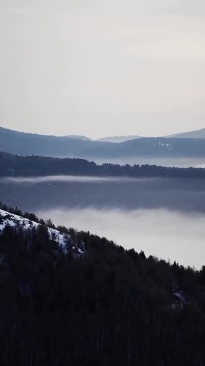 ������ ����, ������� � ������