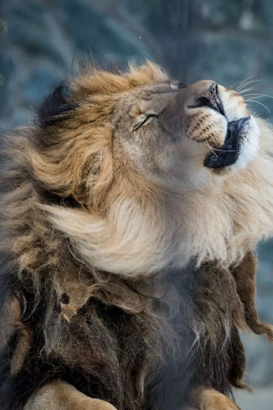 ����������, ������ �� ��� �����