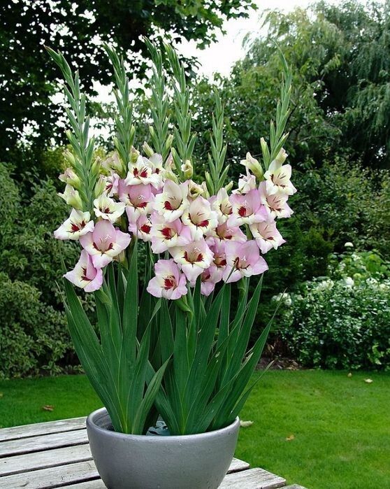 ��������� ���������: ������ ����������� �� �����, ����������� � ������ �� ��������