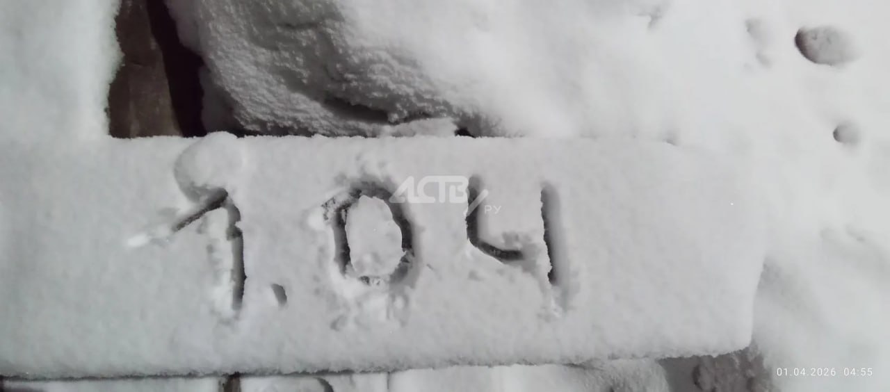 На юге Сахалина 1 апреля потеплеет до +10 градусов, и это не шутка На юге Сахалина 1 апреля потеплеет до +10 градусов, и это не шутка