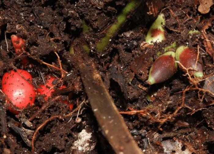 ���������� ������, ������������ ��� ������, �������� ������