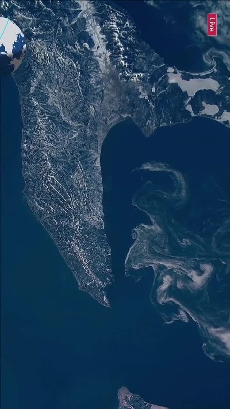 �� �������� ����������� ����� �������� � ����� ����������� �������