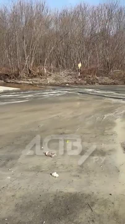 ��������, ������: ����� ���� ������ ������� �������� ������