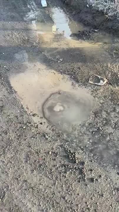 ������� ����� ��-��� ����� �� ����� �� ������������ ����-����������