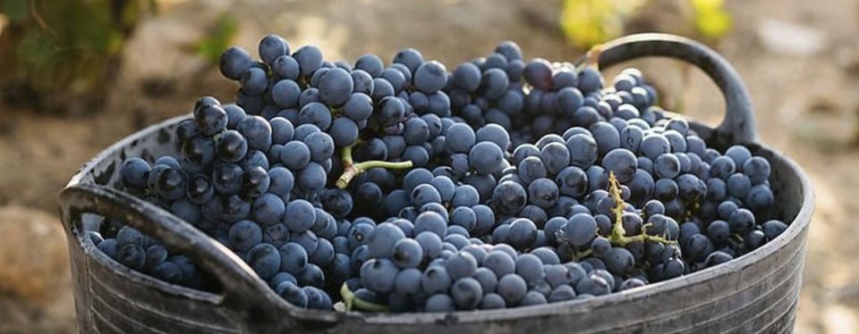 ������: ����, ������� ���������� ���