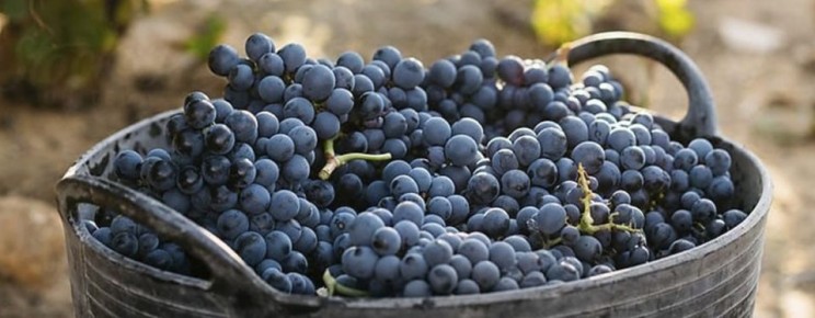 ������: ����, ������� ���������� ���