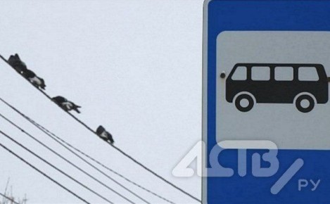 ��� ���������� ������ 70 ��� ��������� ������� ������� �� ������������ ����������