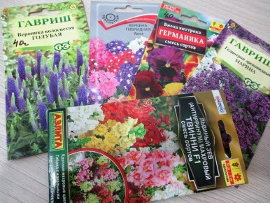 ����� ����� �������: ������ �����, �������, ����������, �������� � �������� ����