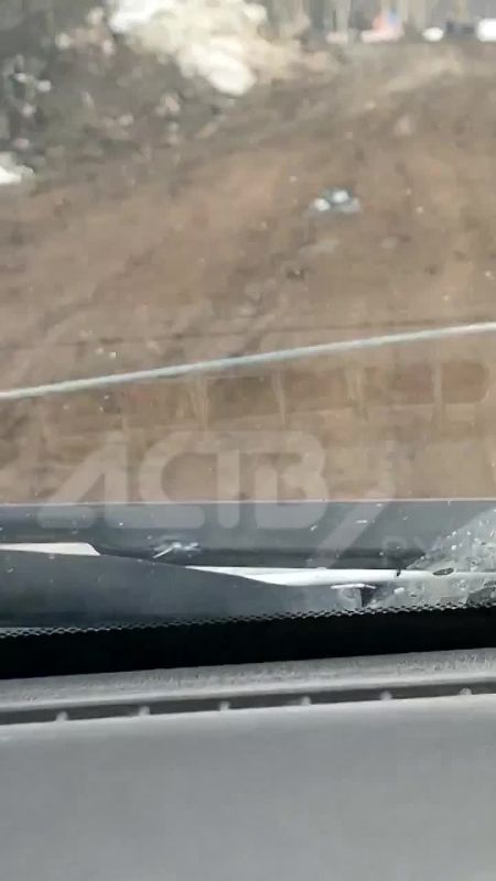 "������������� ������": ��������� � �������������-����������� ������ ���� �������