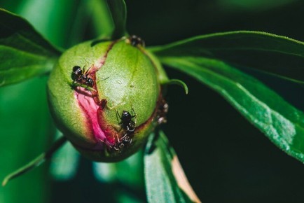 ����������� ������� ������ � ��������� �� ����� ������� �������