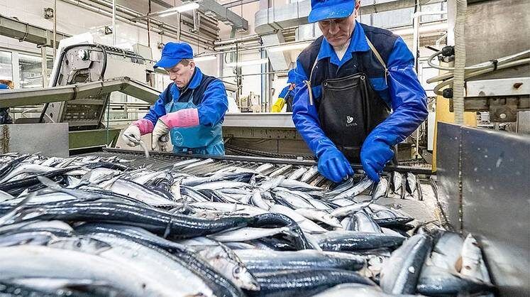 ����� �������������������� ��������: ���������� ��� ����������� �������� ��������