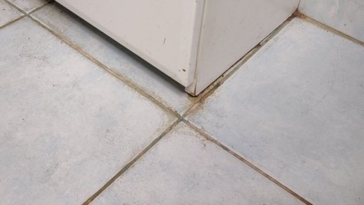 ������� �������: ��� ���������� �������� ������ � ��� � ������