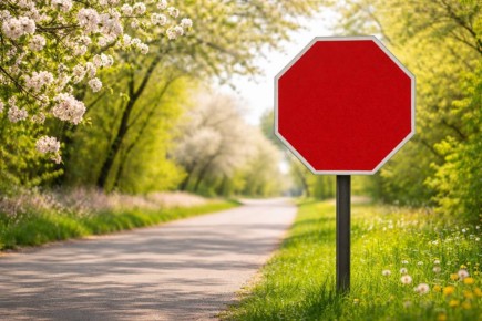 � ����-���������� ��������� ������ � ���������� �� �������� ����