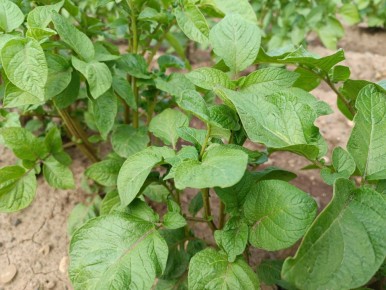 ����: ����� �������� ������ �� ������ ���������