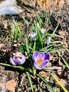 �� ����������� ����������. �� ������ ������ ������ ������ �����