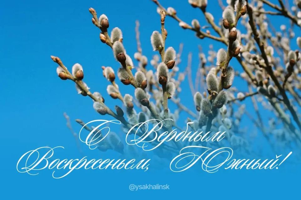 ������ ����, �����!. ������� � ������� �����������