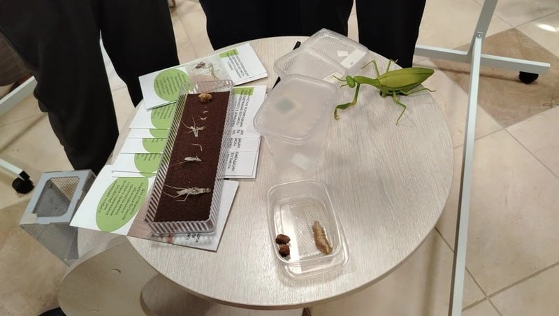 Волшебные двери природы. В Южно-Сахалинске с 25 по 28 марта работала научно-практическая конференция «Войдите в волшебные двери» Волшебные двери природы. В Южно-Сахалинске с 25 по 28 марта работала научно-практическая конференция «Войдите в волшебные двери»