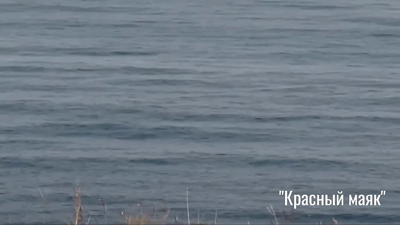 Косатка проплыла перед жителями Курильска