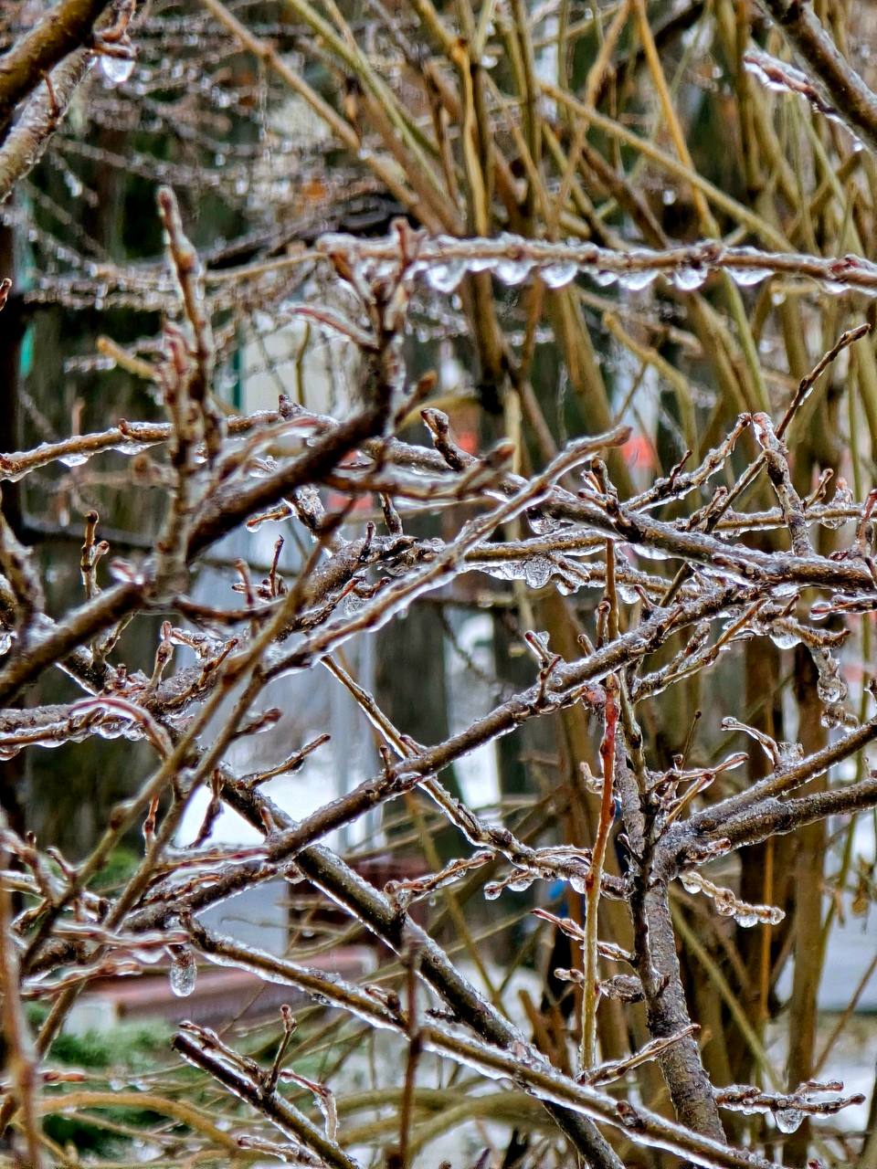 Зима решила отправить нам ещё одно напоминание о себе Зима решила отправить нам ещё одно напоминание о себе