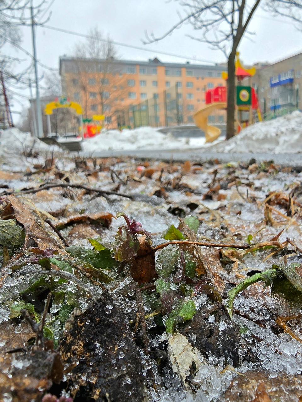 Зима решила отправить нам ещё одно напоминание о себе Зима решила отправить нам ещё одно напоминание о себе