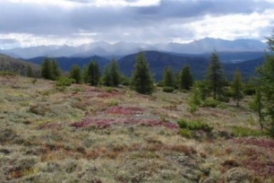 ���������� ������ ������� � ����������� �������: �� ������� �� ���������