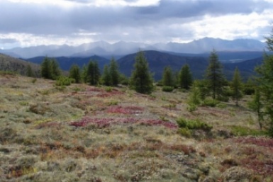Обсуждение важных событий в Магаданской области: от законов до криминала