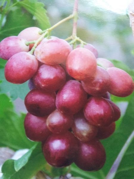 �������� ������: ����������� ������������� ����� � �������� �������