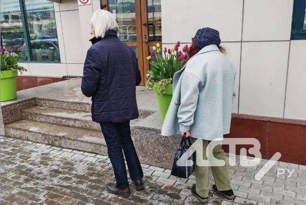 Двое сахалинцев совершили налет на вазон с тюльпанами у "Тепличного"