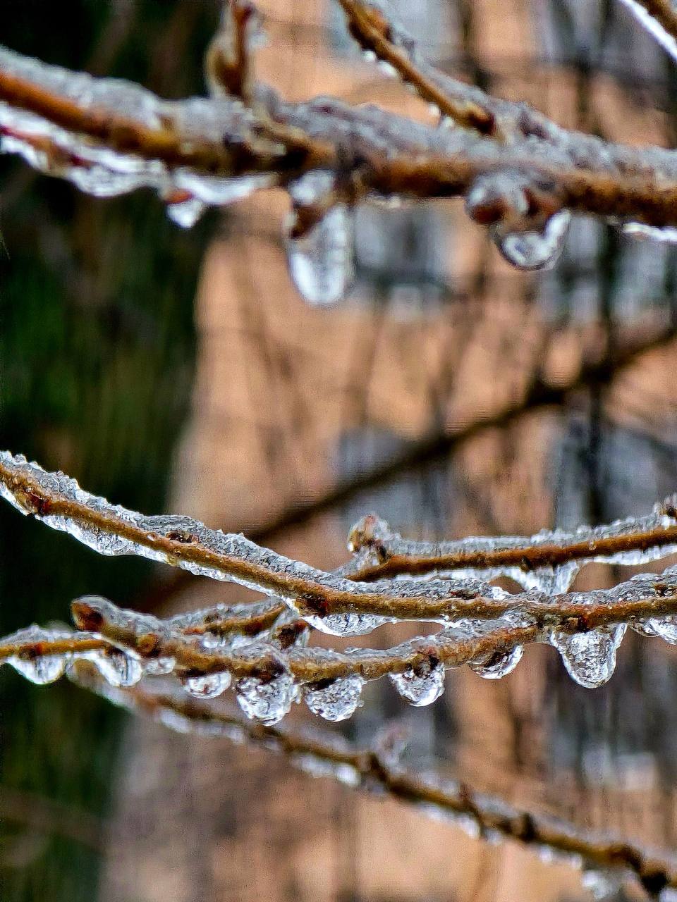 Зима решила отправить нам ещё одно напоминание о себе Зима решила отправить нам ещё одно напоминание о себе