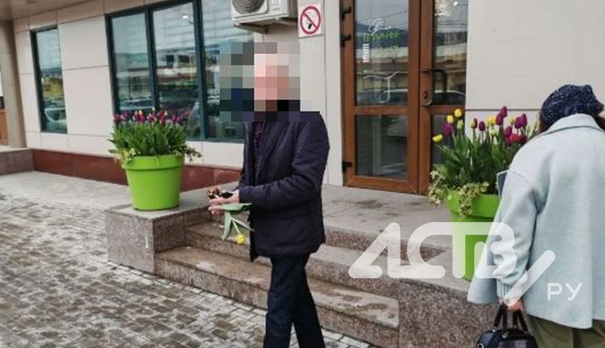 Двое сахалинцев совершили налет на вазон с тюльпанами у "Тепличного" Двое сахалинцев совершили налет на вазон с тюльпанами у "Тепличного"