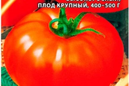 ������ �������: ��� ��������� ��� ������������ ����� ���� � ������� ��������