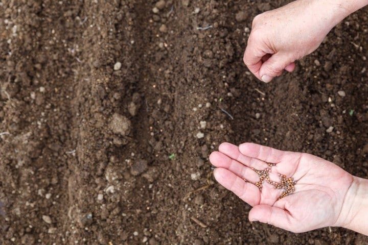 ������� ��������� ������ ������