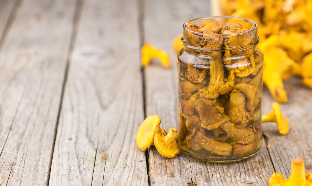 Вкусные лисички: секреты маринования