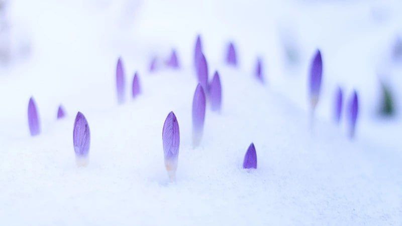 ��������� �������� ������� ������ � ����������� ������� �� 6 ������