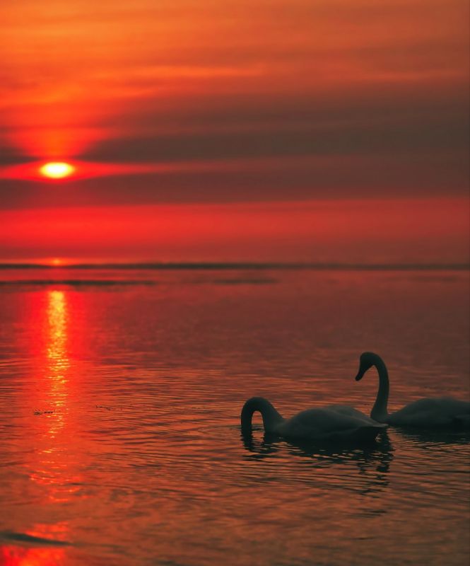 ��������. ������. �����