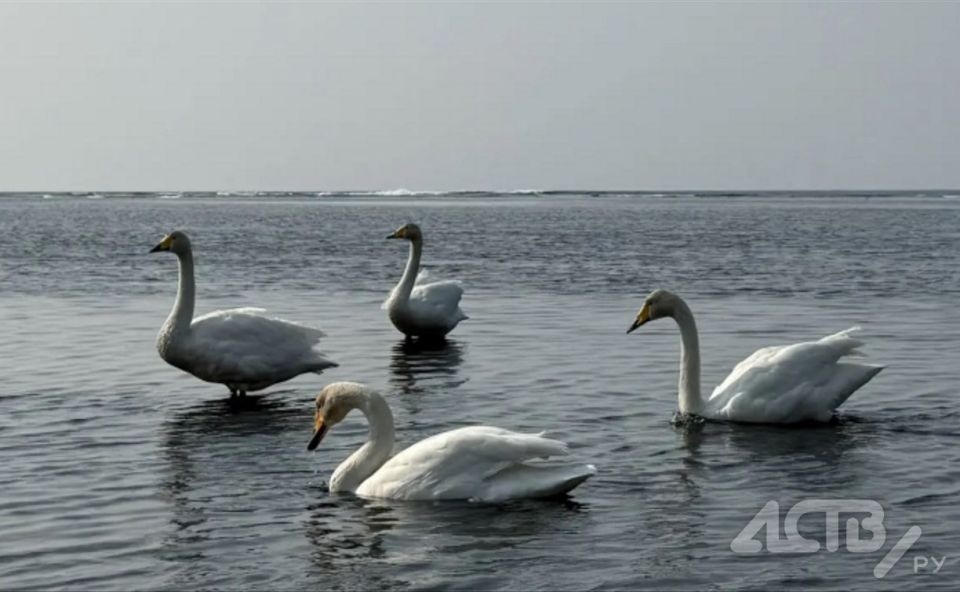 �� �������� ���� � �����������, � �� ������� ����� � ����������: ������� ������ �� 7 ������