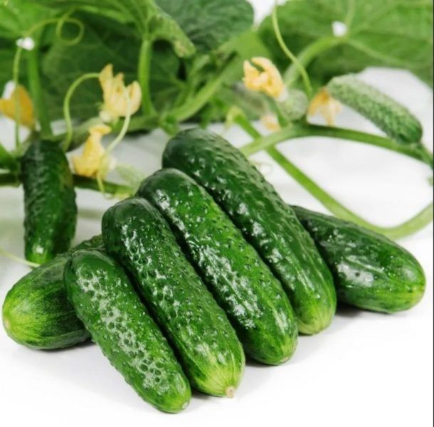 ������ ��������: ��� �������� ��������� ������ ������������ ��������� ������