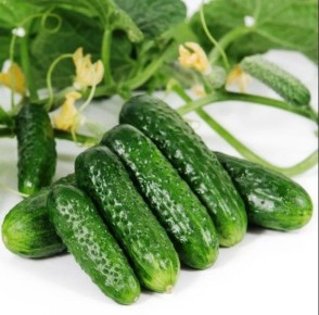 ������ ��������: ��� �������� ��������� ������ ������������ ��������� ������