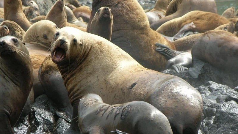 �������� ��������: ������ ��� �� ������� �� ��� ����� ������ ������� ��� ������