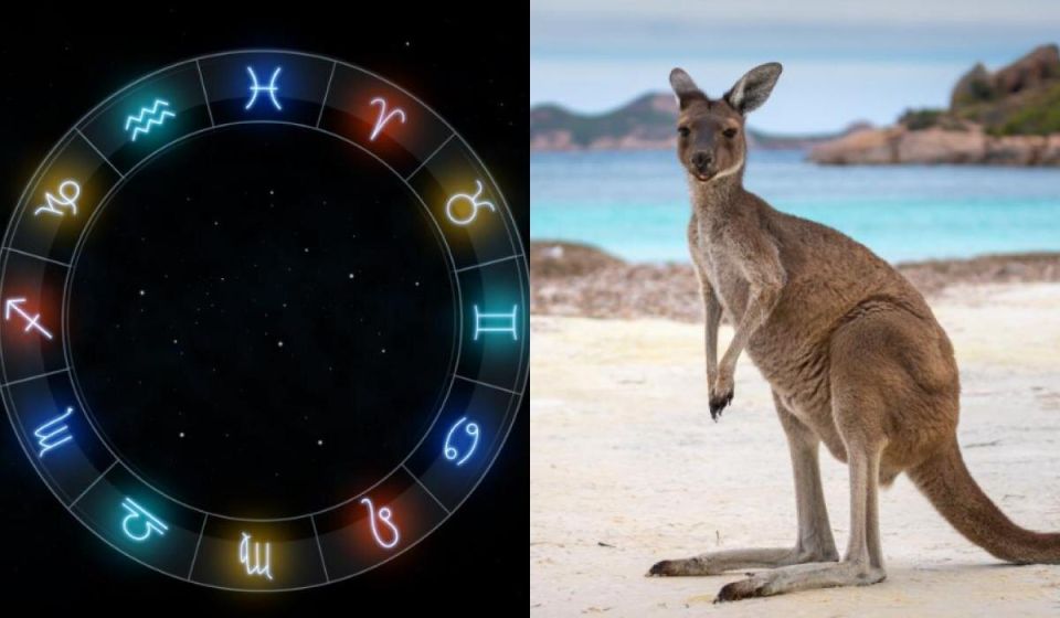 ����� ����� �������� ������������� ������ ����� �������?